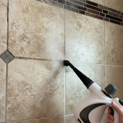 EcoPure™ Steam Cleaner - EcoPure